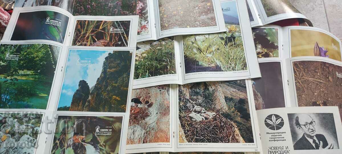 DEFENSE OF THE CASE year XI, ISSUE 1/12 - 5 DEFENSE OF THE CASE year XI, ISSUE 1/12 - 5