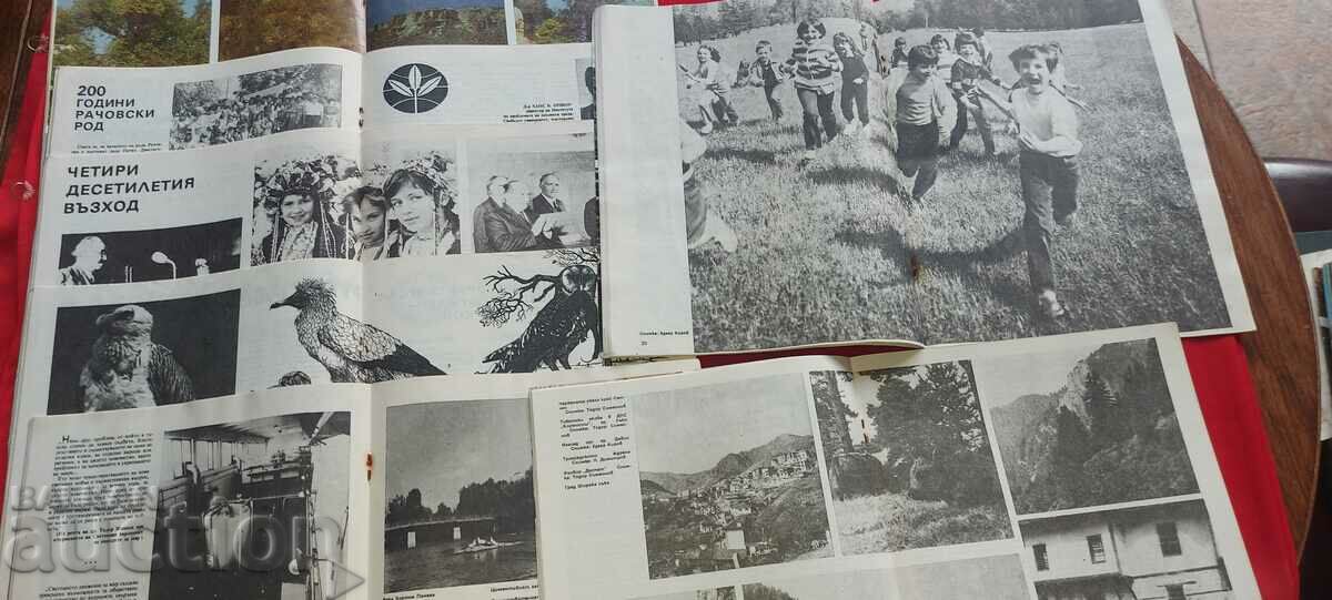 CASE PROTECTION - 7 NUMBERS - 6 CASE PROTECTION - 7 NUMBERS - 6