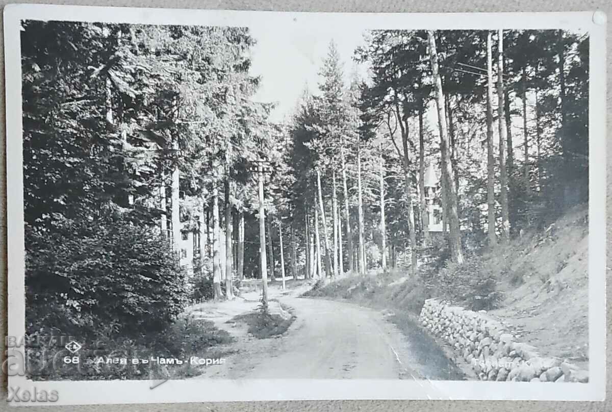 Old postcard Cham-koria 1944