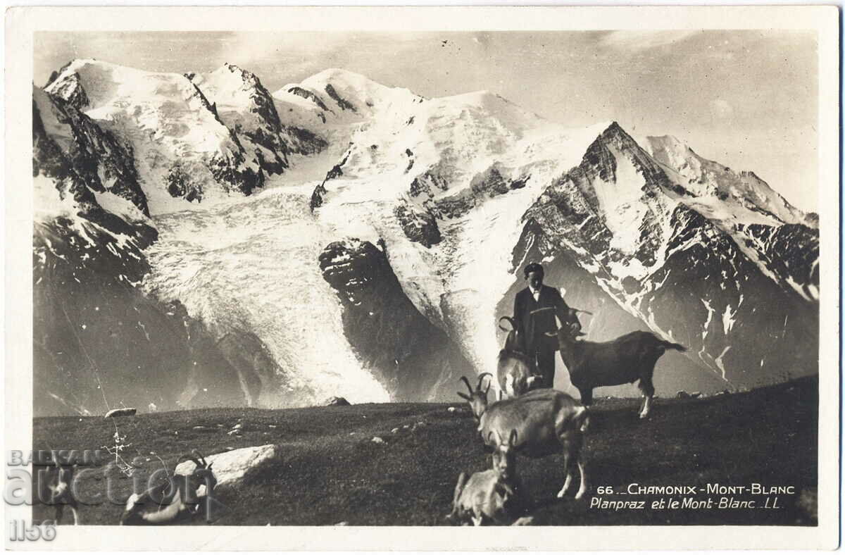 Franța - G. Savoy - Chamonix - Mont Blanc - capre - 1935
