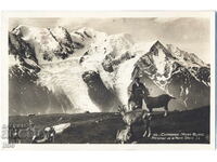 Franța - G. Savoy - Chamonix - Mont Blanc - capre - 1935