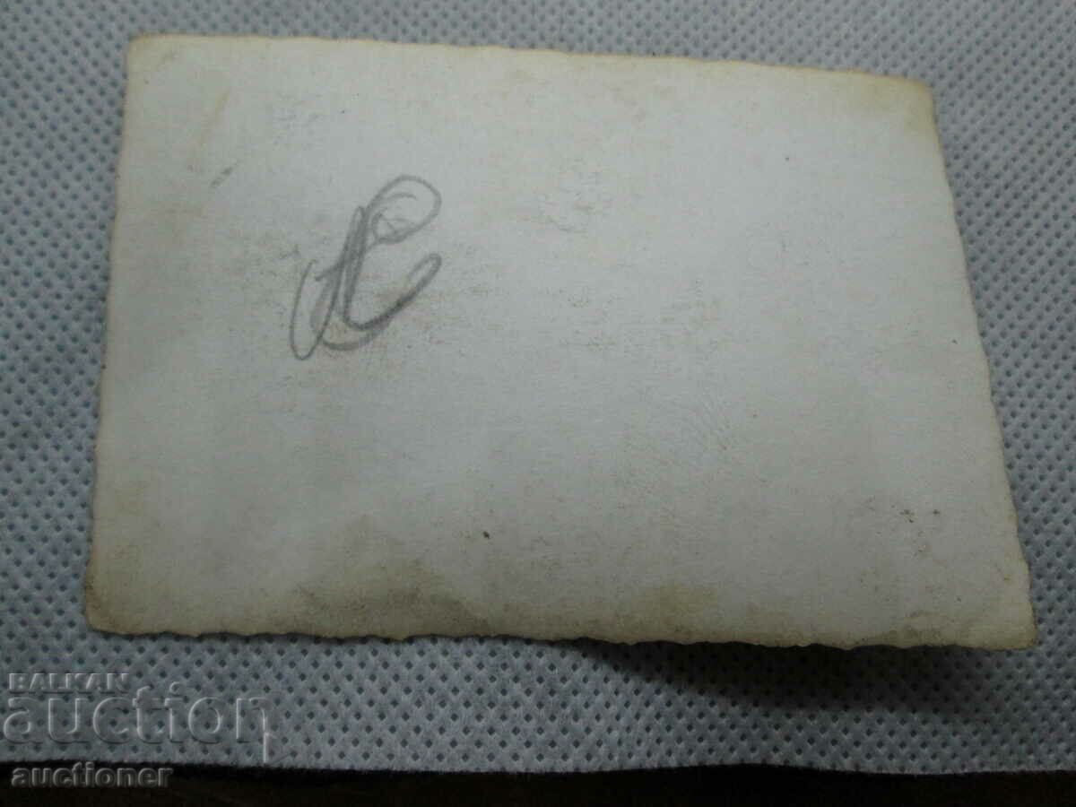 Auction  OLD RETRO PHOTO VOLGA WITH DEER