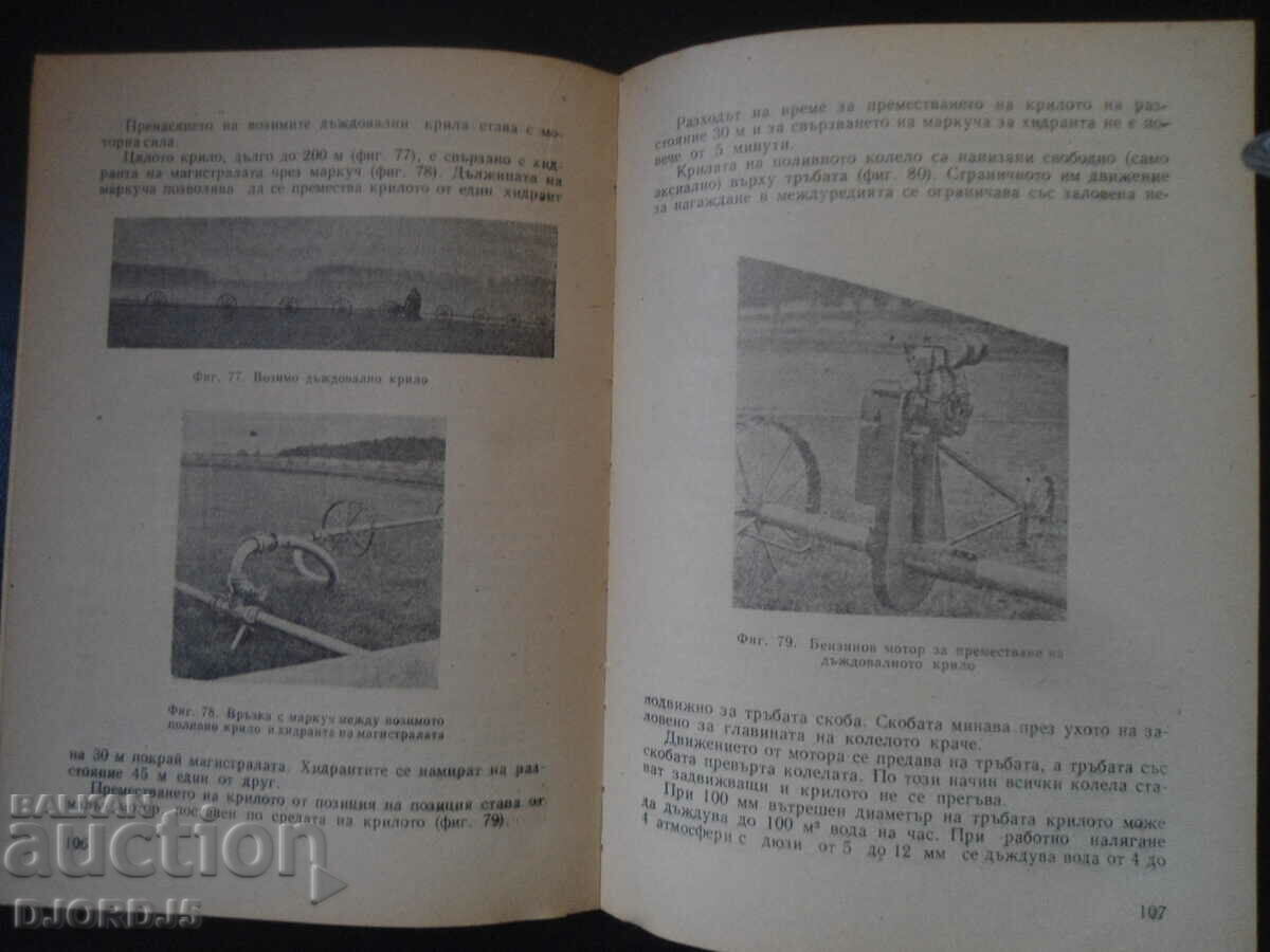 Auction Raining technique Auction Raining technique