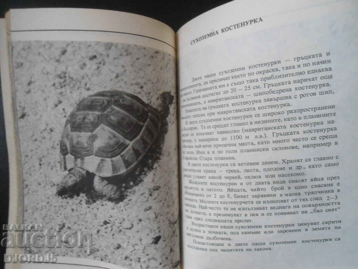 Nu-i ucide, Dimo Bozhkov cu preț 2.00 BGN | € 1.02