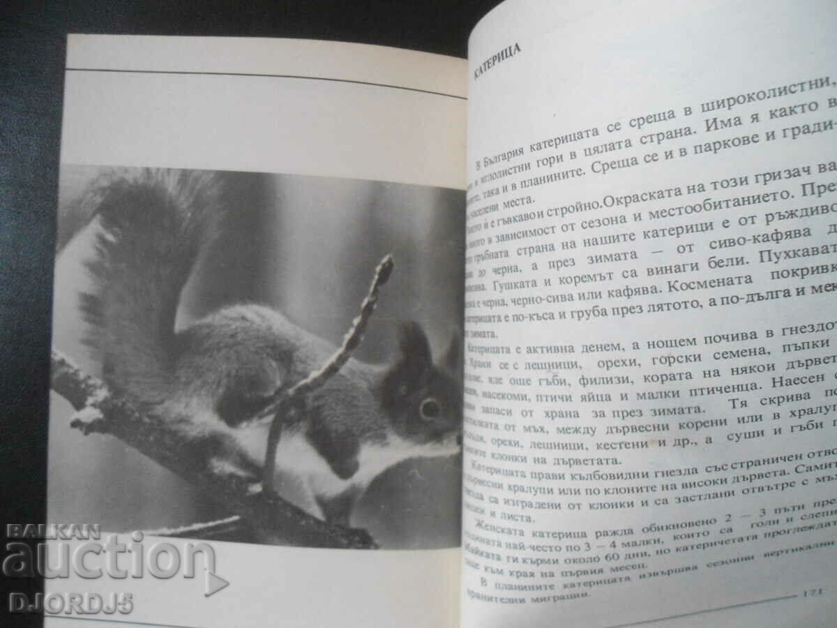 Livrarea Nu-i ucide, Dimo Bozhkov