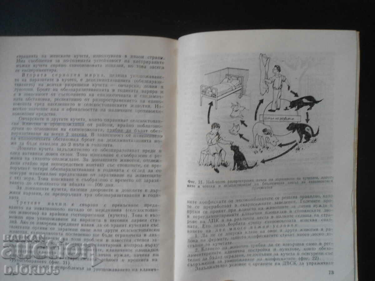 Auction Dog tapeworm, Bozhidar Tsolov Auction Dog tapeworm, Bozhidar Tsolov