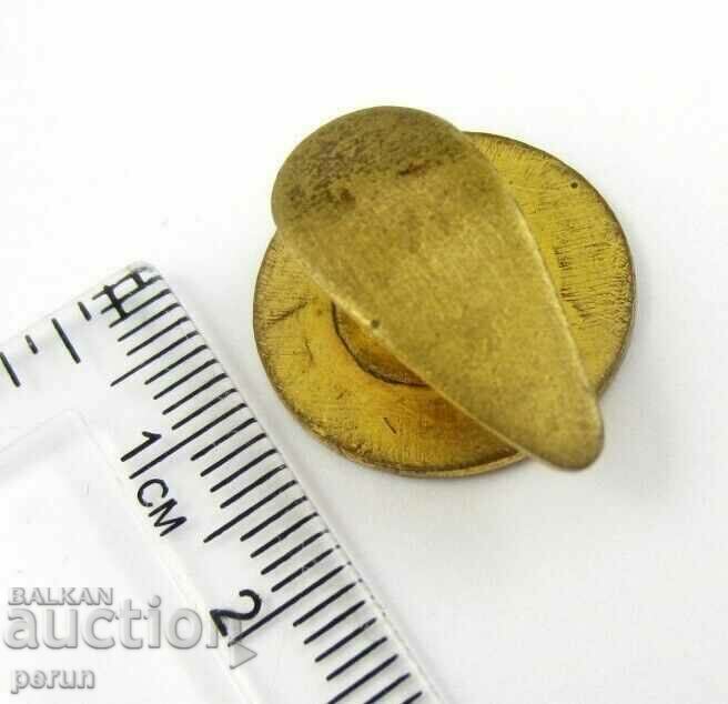 Auction International Trade Training Institute-Stara Buttonella Auction International Trade Training Institute-Stara Buttonella