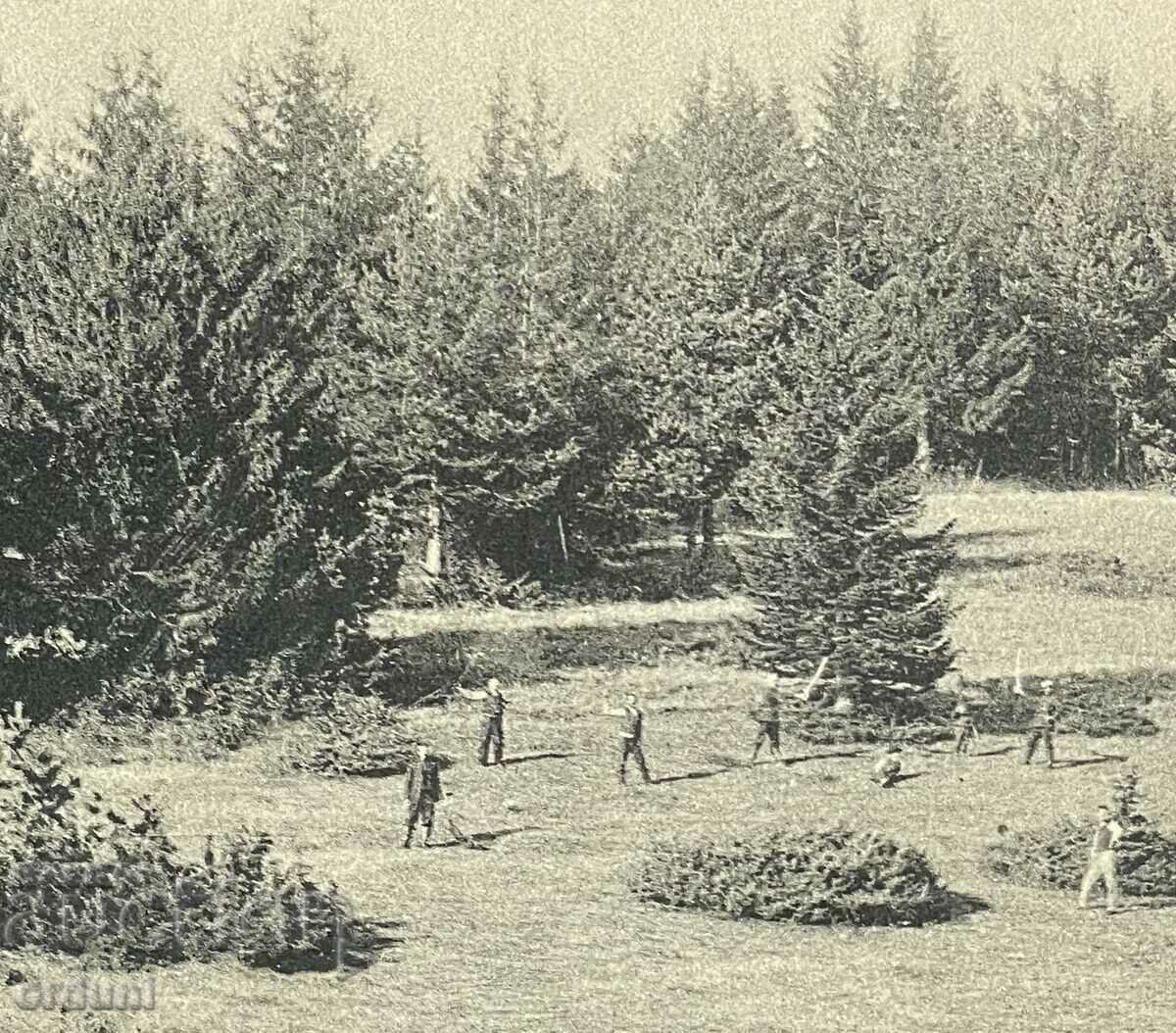 4098 Kingdom of Bulgaria Greeting Shumnatitsa Cham Koria 1914 with price 25.00 BGN | € 12.78