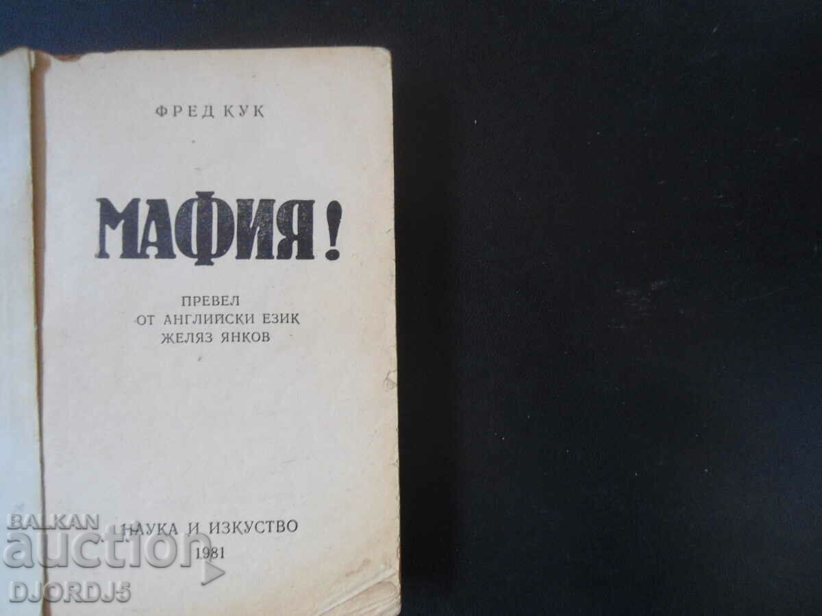 MAFIA, Harm Cook with price 1.00 BGN | € 0.51