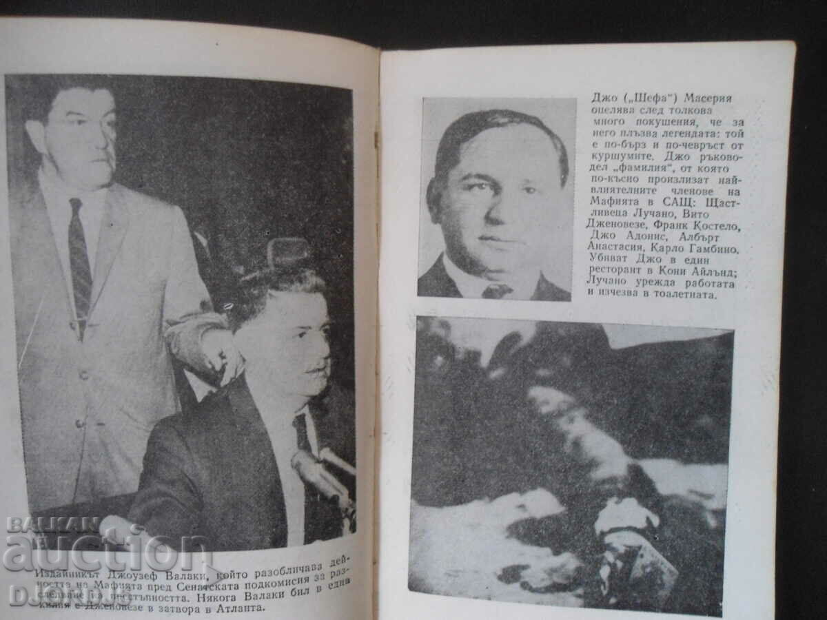 Auction  MAFIA, Harm Cook