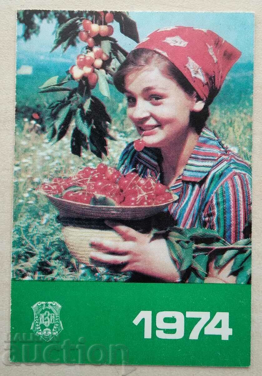 14950 Ημερολόγιο - DZI - 1974