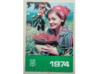 14950 Календарче - ДЗИ - 1974г