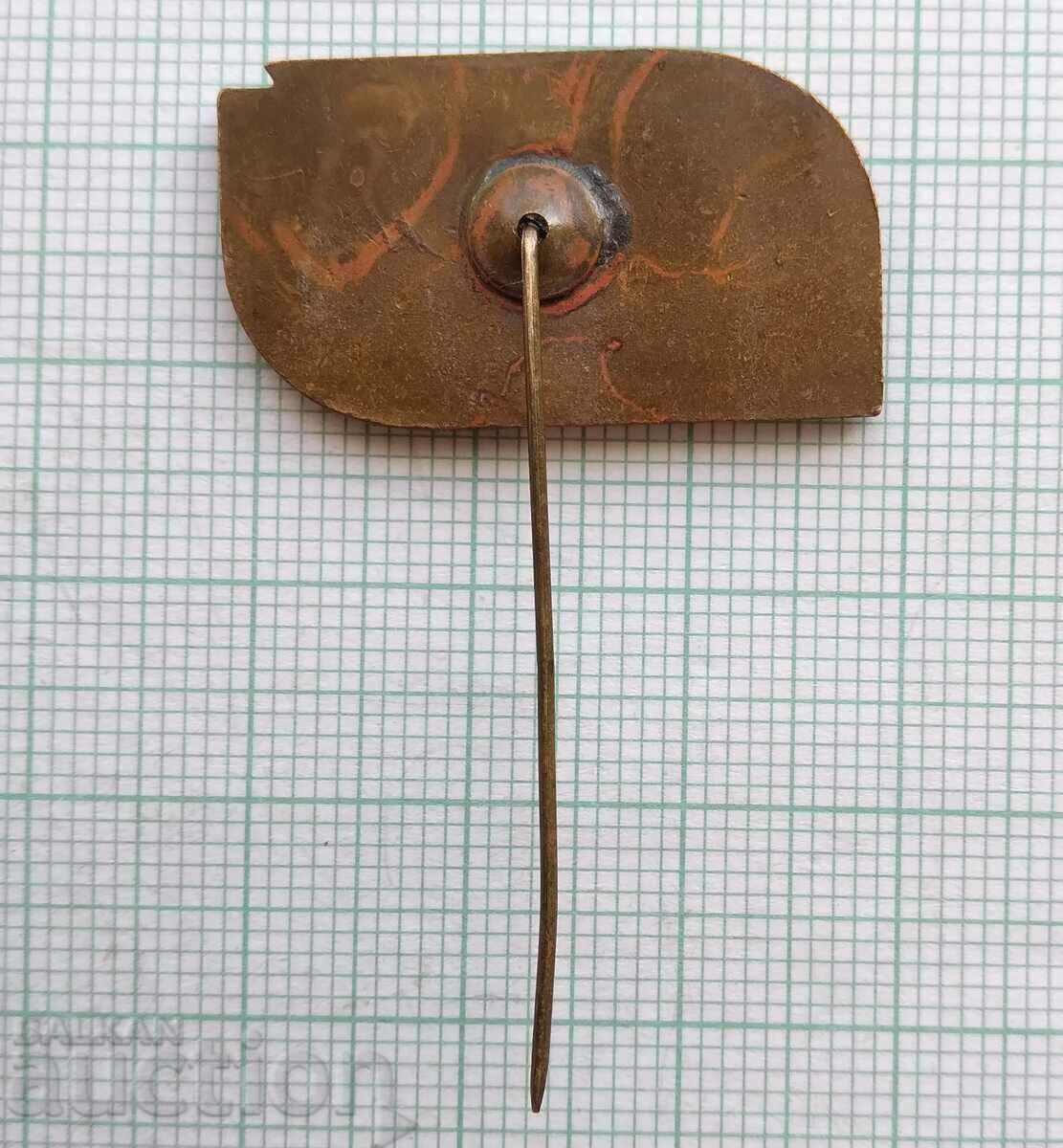 Auction 14662 Badge - Spartakiad Poland 1971 - bronze enamel Auction 14662 Badge - Spartakiad Poland 1971 - bronze enamel