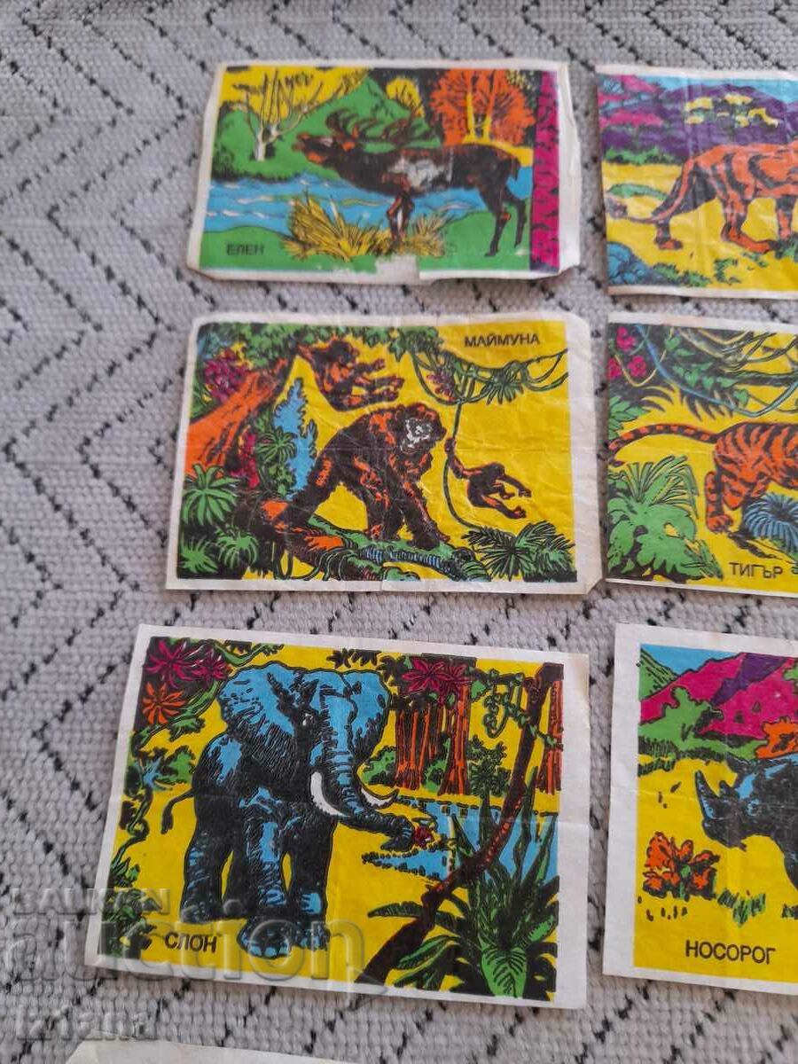 Picture, pictures of chewing gum with price 50.00 BGN | € 25.56 Picture, pictures of chewing gum with price 50.00 BGN | € 25.56