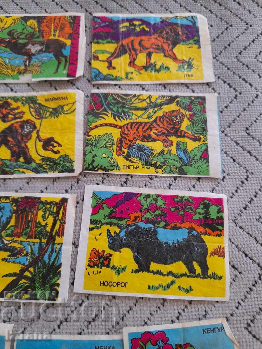 Auction Picture, pictures of chewing gum Auction Picture, pictures of chewing gum