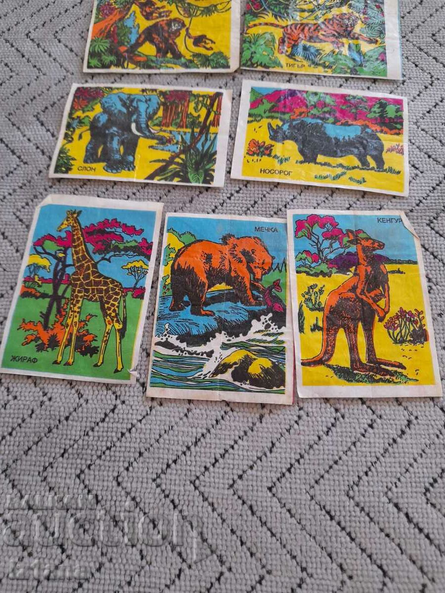 Delivery of Picture, pictures of chewing gum Delivery of Picture, pictures of chewing gum