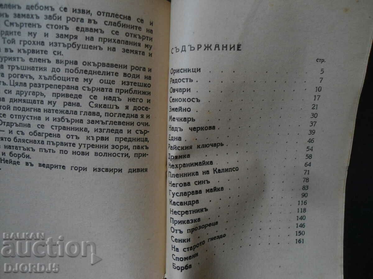 Auction IDYLYS, P. Yu. Todorov, book one Auction IDYLYS, P. Yu. Todorov, book one