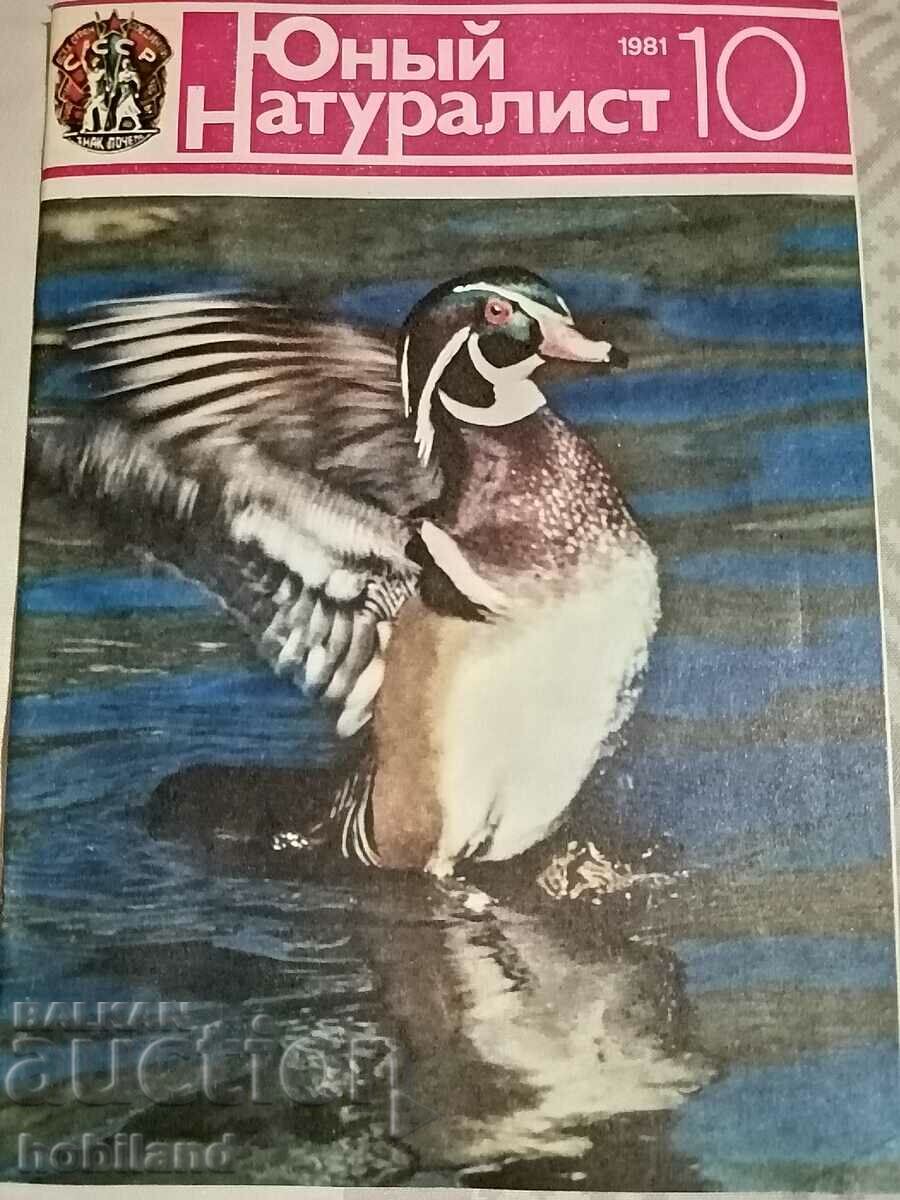 Tânăr Naturalist 1981/10