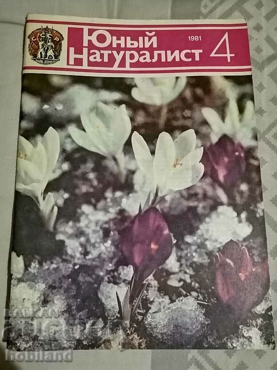 Tânăr Naturalist 1981/4