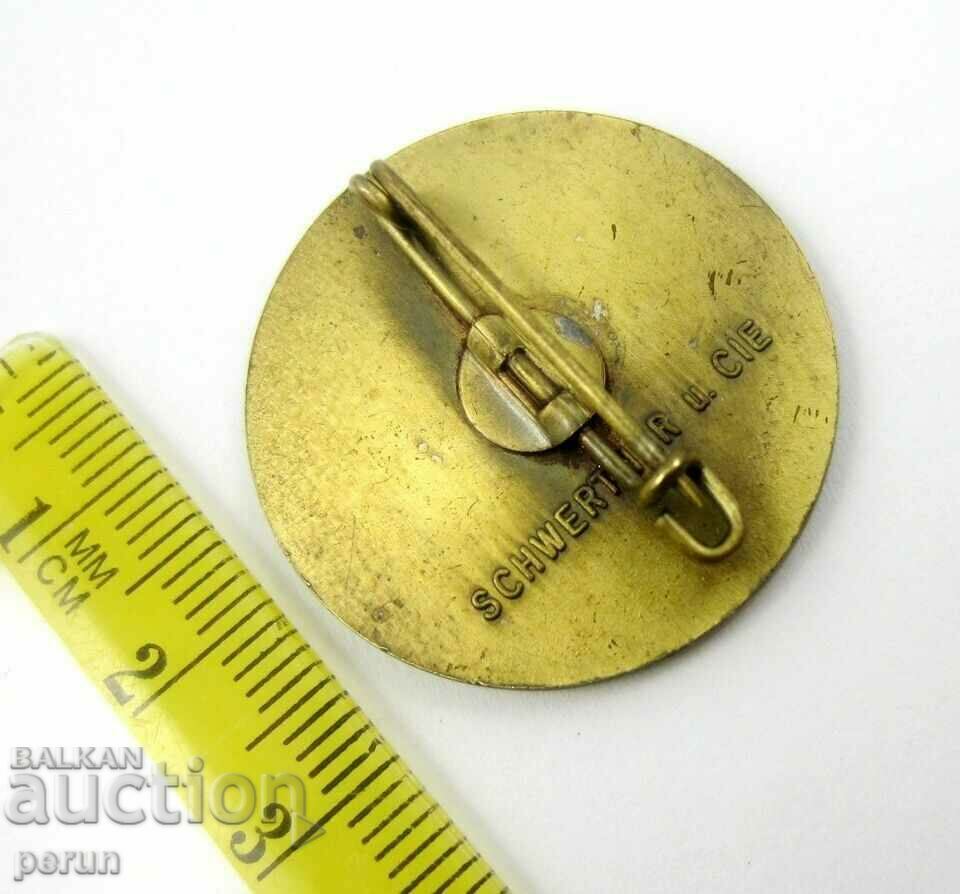 Auction 60 years of People's Vote Carinthia, Austria-1980-Beautiful badge Auction 60 years of People's Vote Carinthia, Austria-1980-Beautiful badge