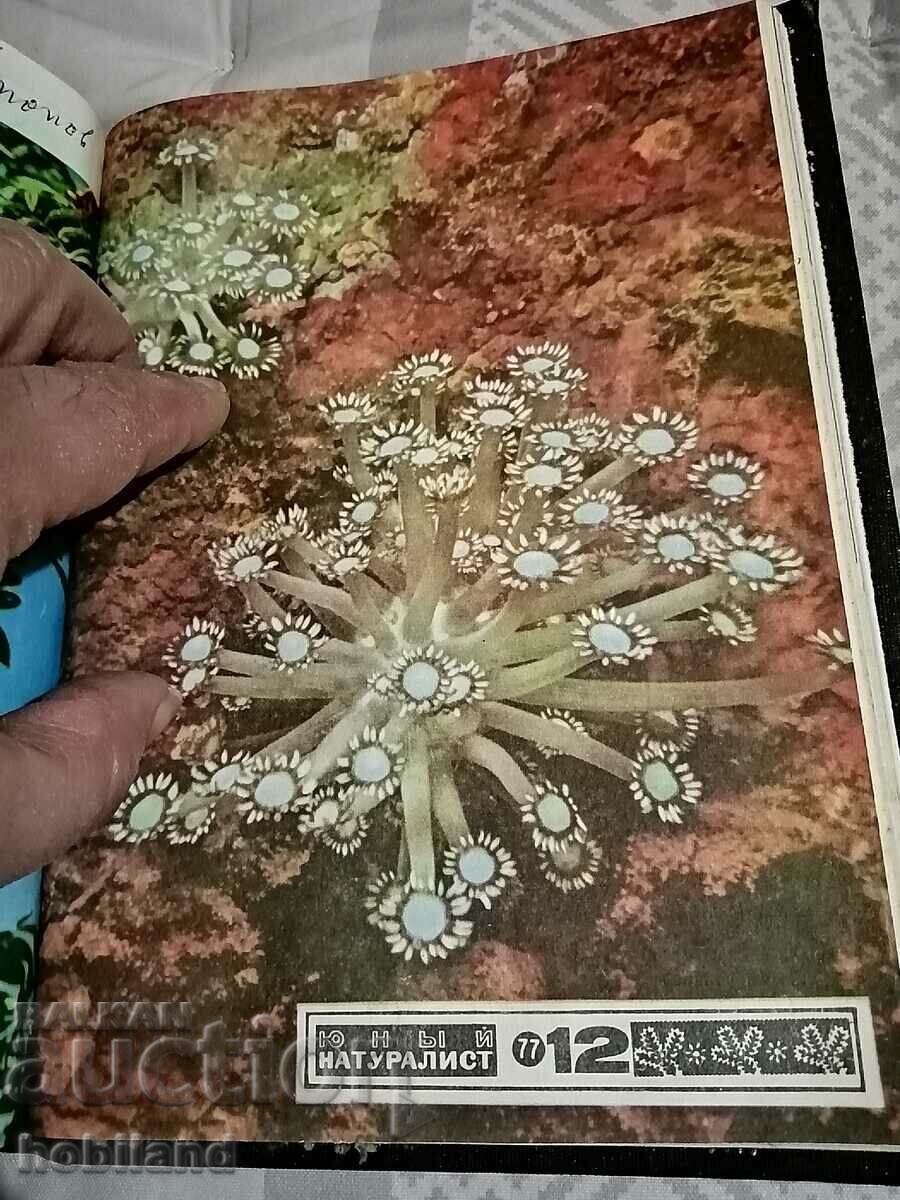 Young Naturalist 1977/1-12 with price 6.00 BGN | € 3.07 Young Naturalist 1977/1-12 with price 6.00 BGN | € 3.07