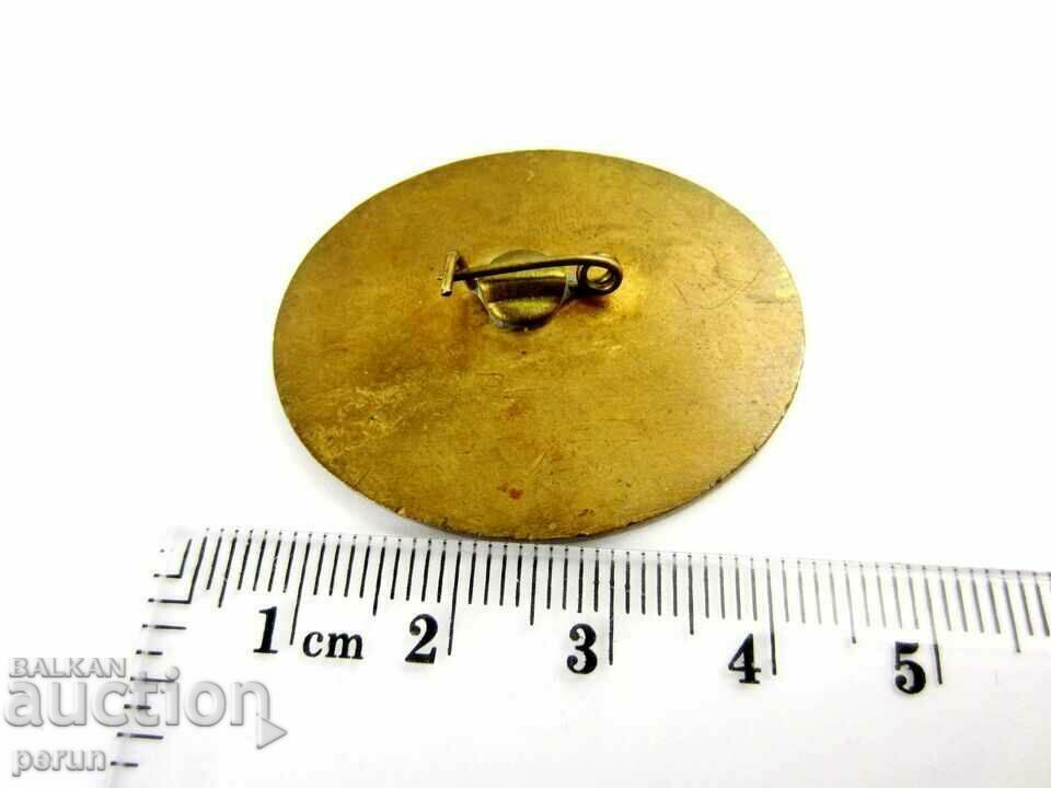 Livrarea SERVICIUL DE SALVARE AIEȚIONALĂ RUSĂ - SEMN RAR