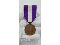 Красив японски медал за Преброяване 1920 г.