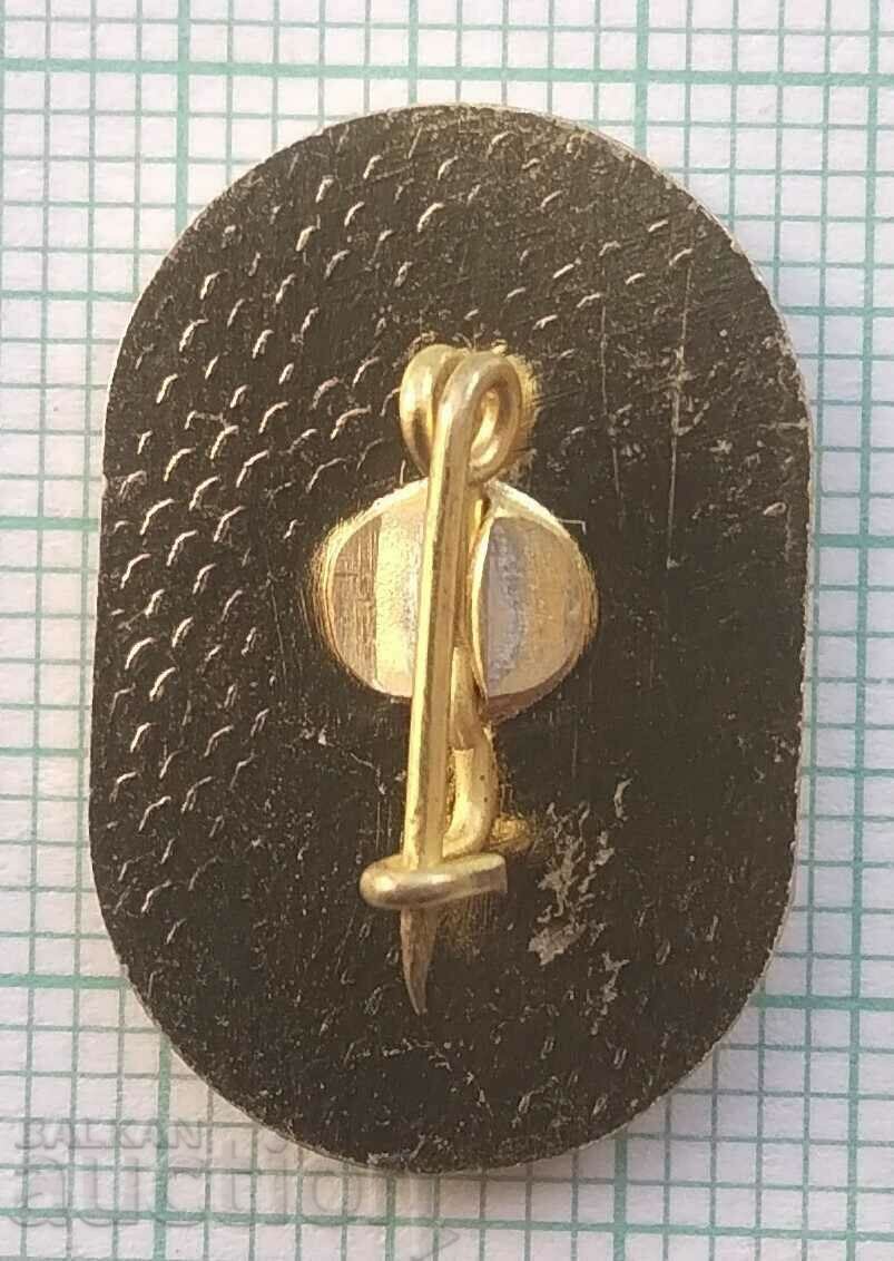 Auction 14699 Badge - District Council of BSFS Targovishte Auction 14699 Badge - District Council of BSFS Targovishte