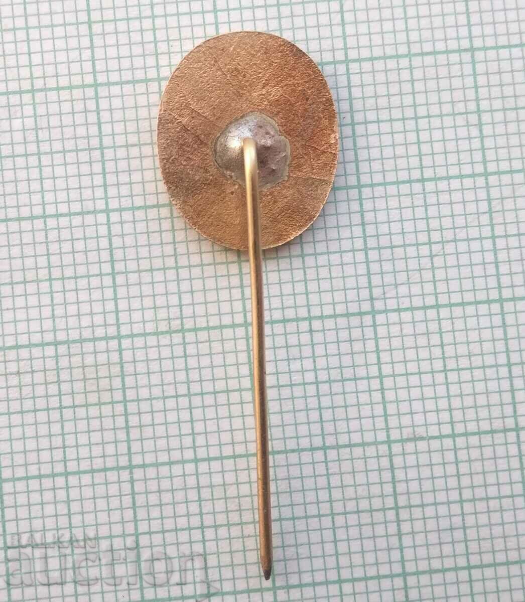 Auction 14700 Badge - Balkan tourist - bronze enamel Auction 14700 Badge - Balkan tourist - bronze enamel