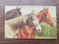 Postal card Kingdom of Bulgaria - Horses