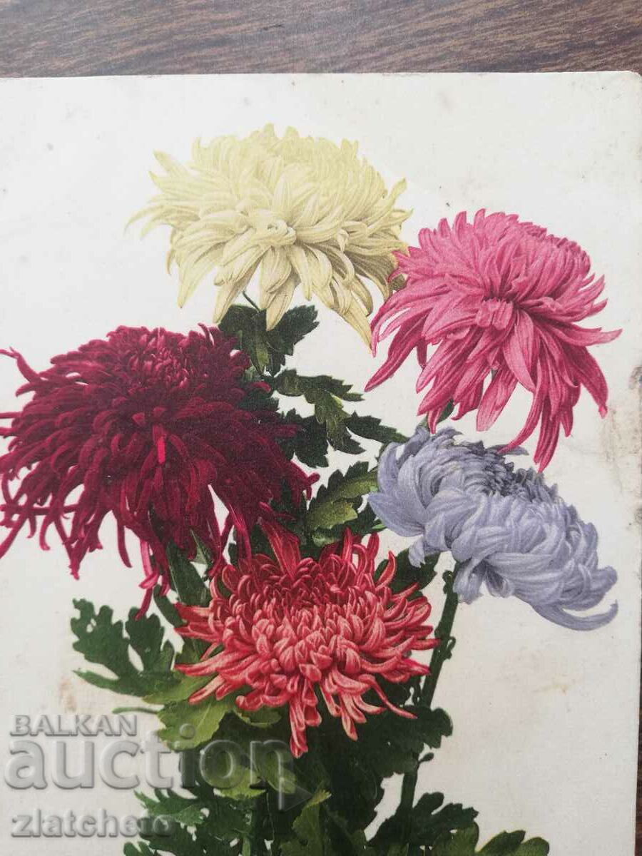 Postcard Kingdom of Bulgaria - with price 10.00 BGN | € 5.11 Postcard Kingdom of Bulgaria - with price 10.00 BGN | € 5.11