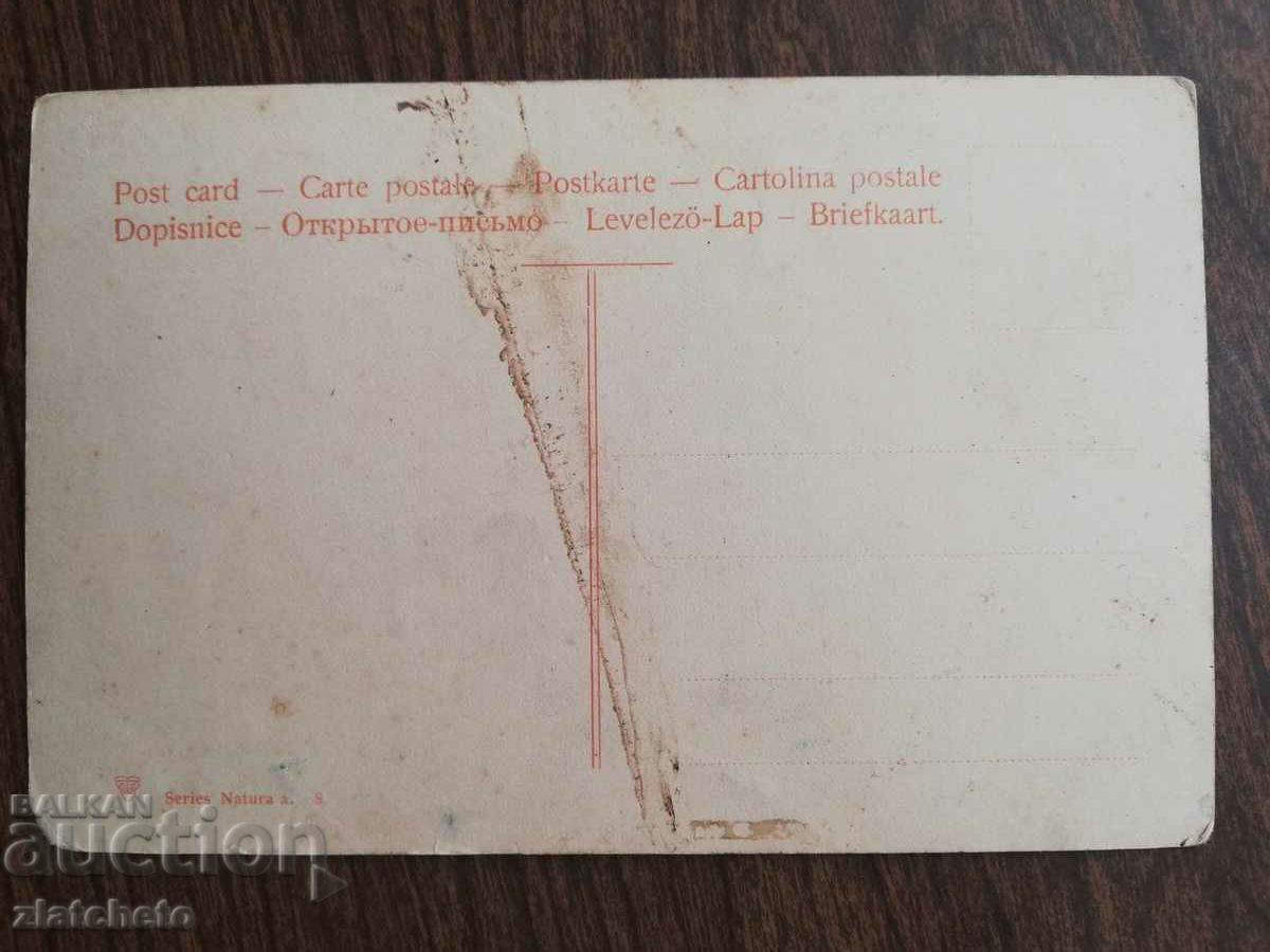 Postcard Kingdom of Bulgaria - with price 7.00 BGN | € 3.58 Postcard Kingdom of Bulgaria - with price 7.00 BGN | € 3.58