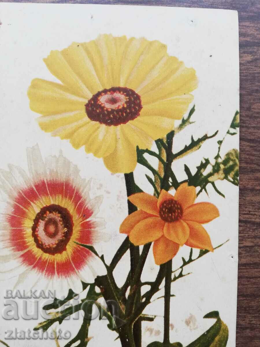 Postcard Kingdom of Bulgaria - with price 7.00 BGN | € 3.58 Postcard Kingdom of Bulgaria - with price 7.00 BGN | € 3.58