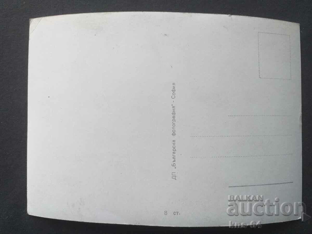 ΜΑΡΙ ΚΑΣΑΡΕΣ με τιμή 0.90 BGN | € 0.46 ΜΑΡΙ ΚΑΣΑΡΕΣ με τιμή 0.90 BGN | € 0.46