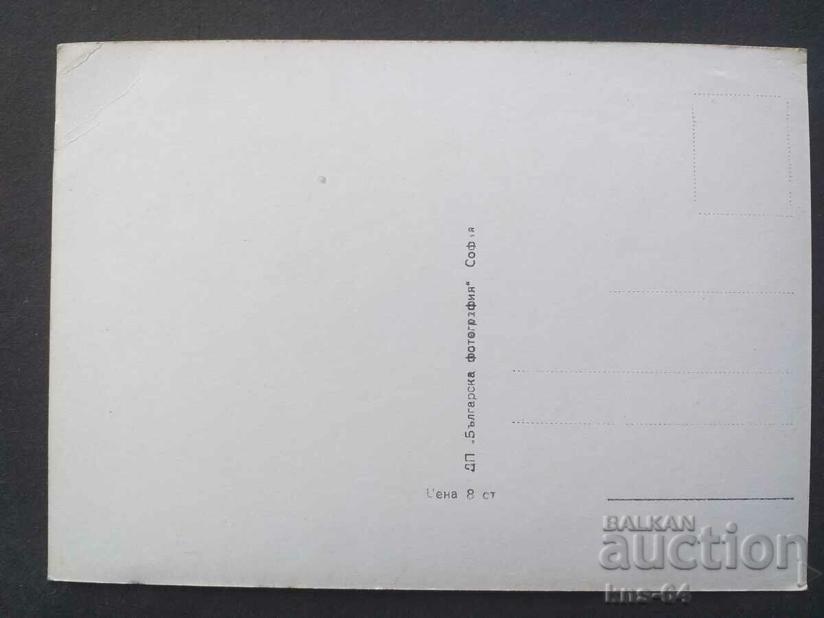 MARGIT BARA с цена 1.00 лв. | € 0.51 MARGIT BARA с цена 1.00 лв. | € 0.51