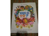 Children's book with Riddles What is it - Vyara Momchilova