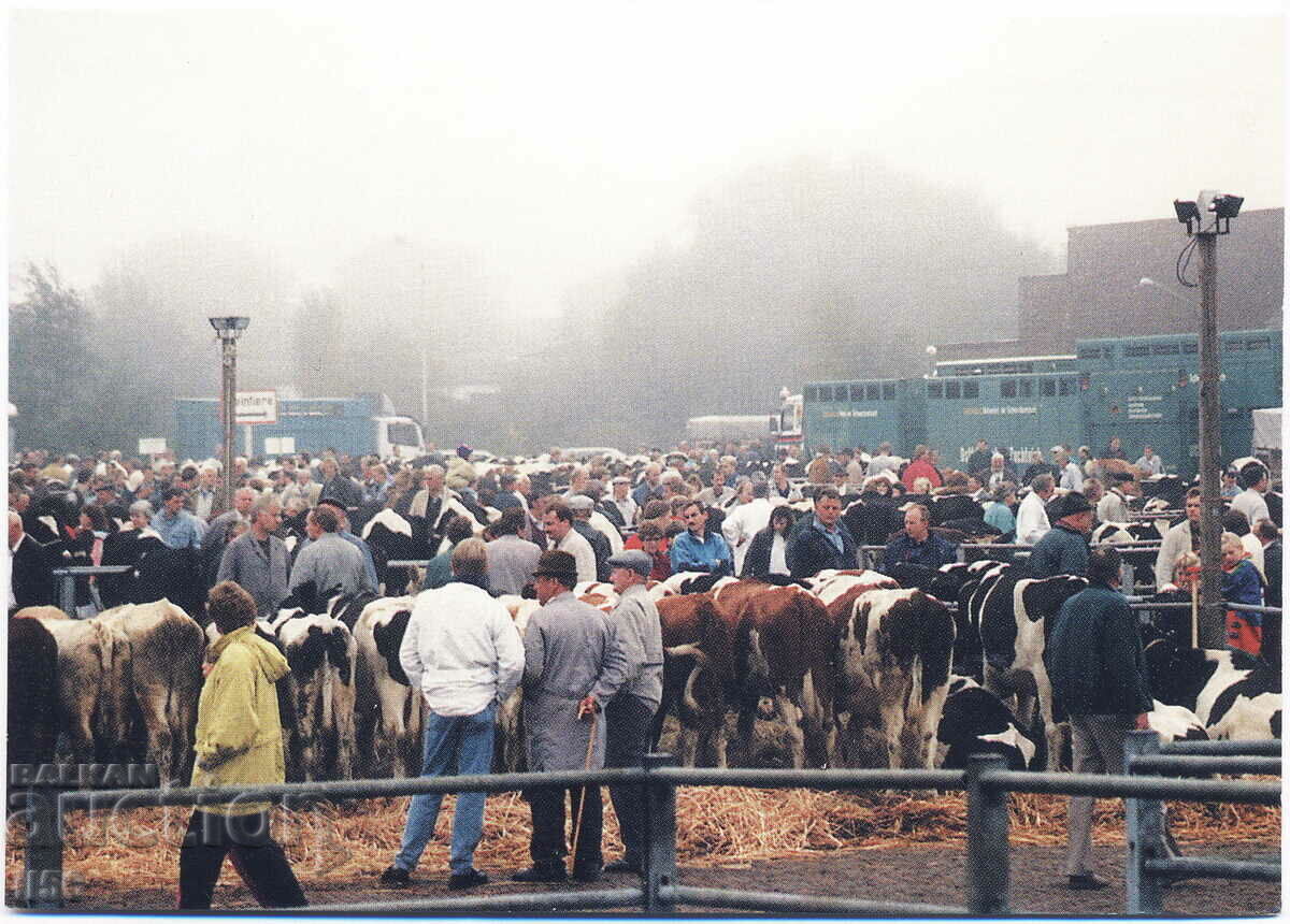Germany - Nesse - livestock market - ca. 1990