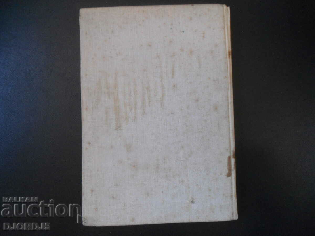 Despot SLAV, Slav Hr. Karaslavov - 6 Despot SLAV, Slav Hr. Karaslavov - 6