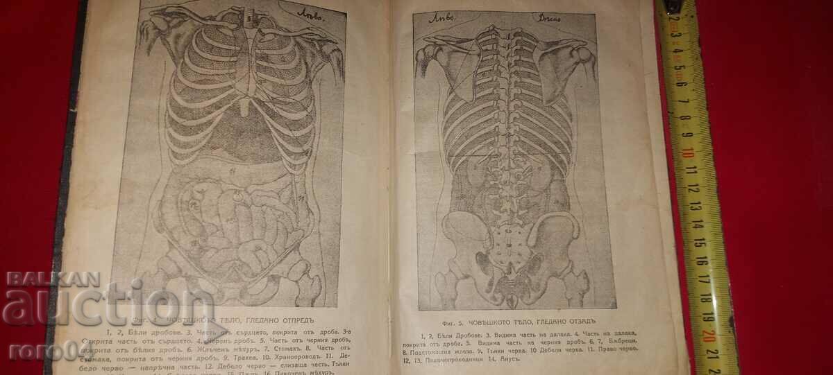Livrarea DOCTOR - GEORGI EFREMOV