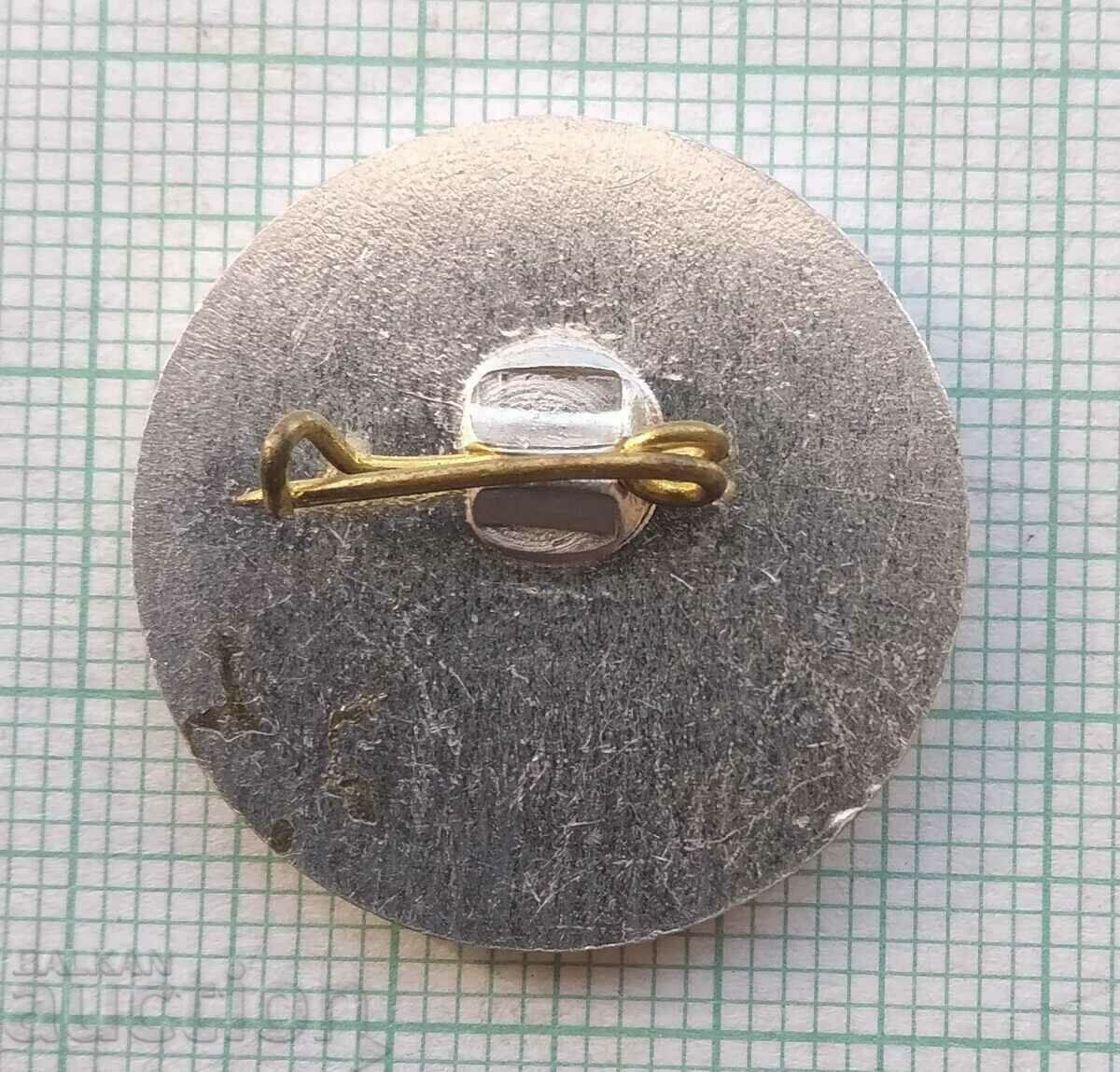 Auction  14721 Badge - 30 years SMK Lenin