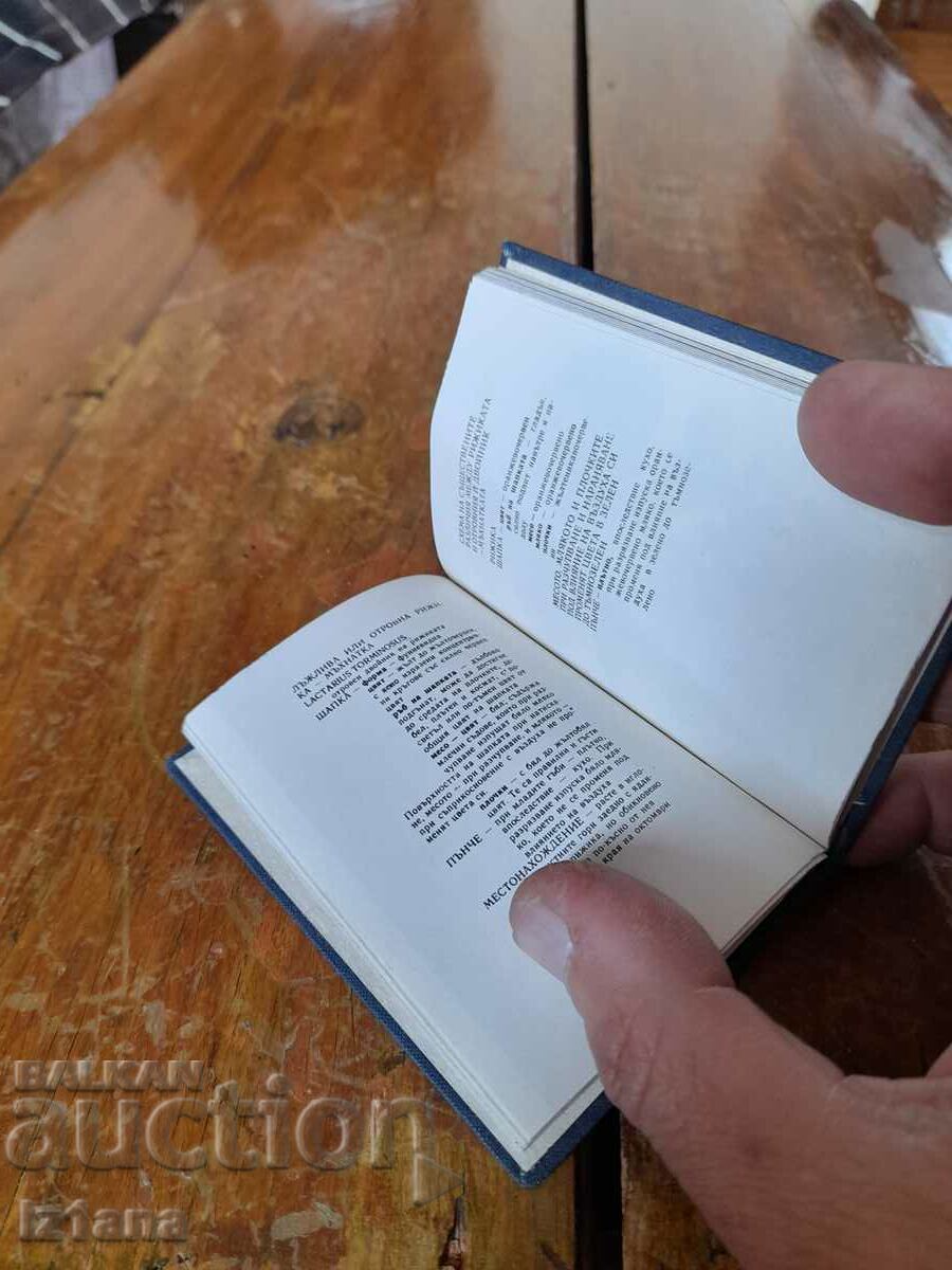 Livrarea Vechiul director al ciupercilor Livrarea Vechiul director al ciupercilor