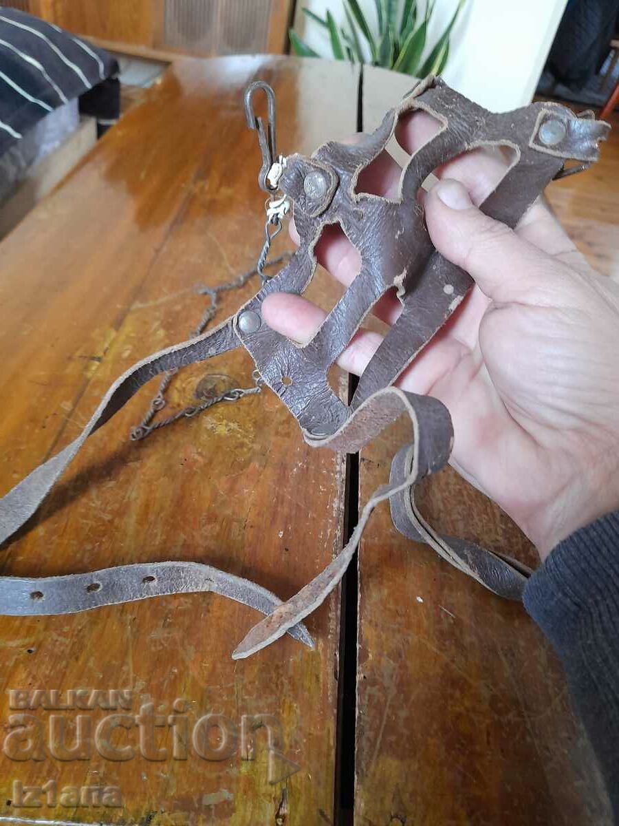 Auction  An old reason for a dog