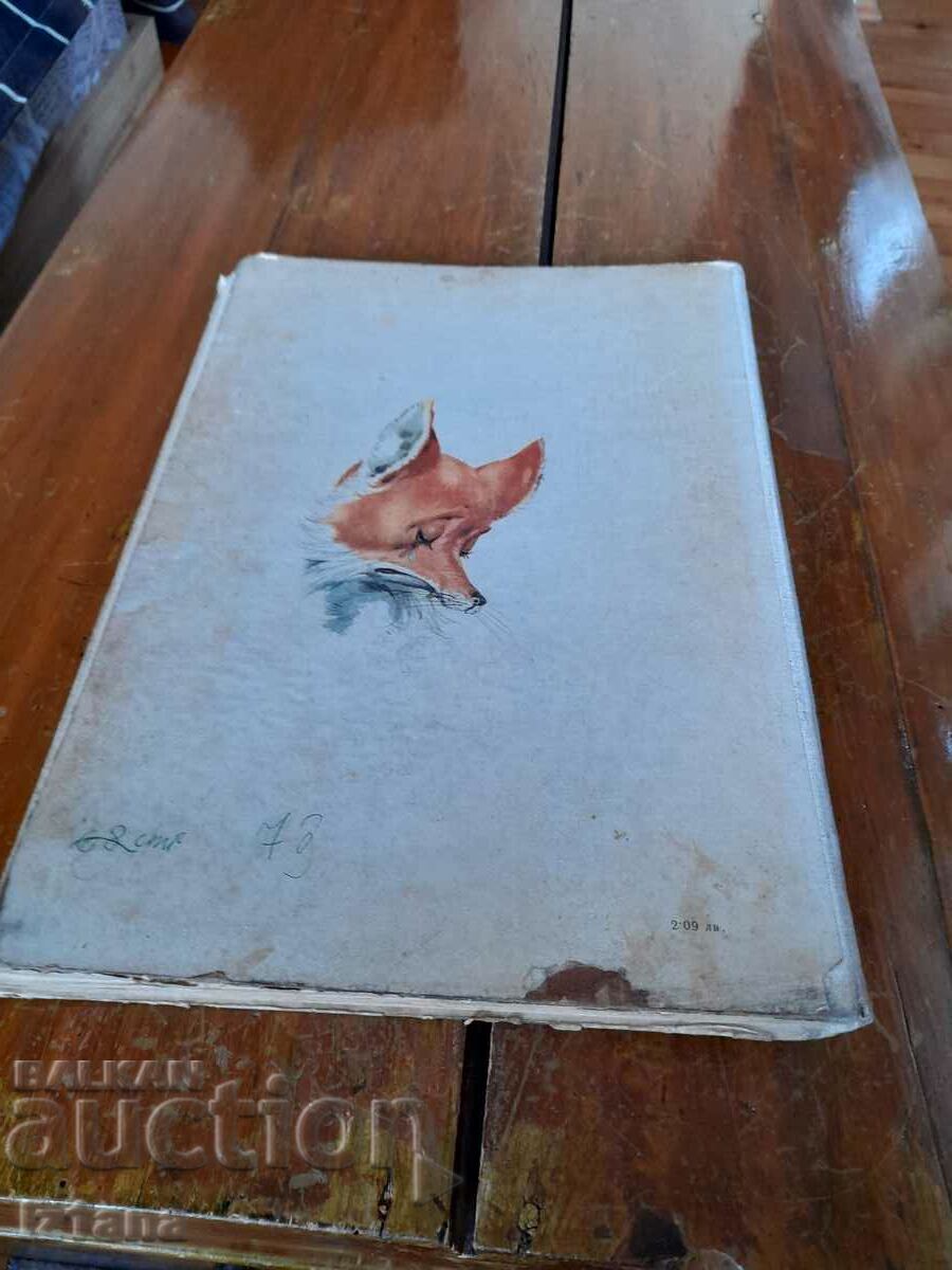 Old Pinocchio book - 6