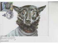Пощенска карта максимум Космически кучета