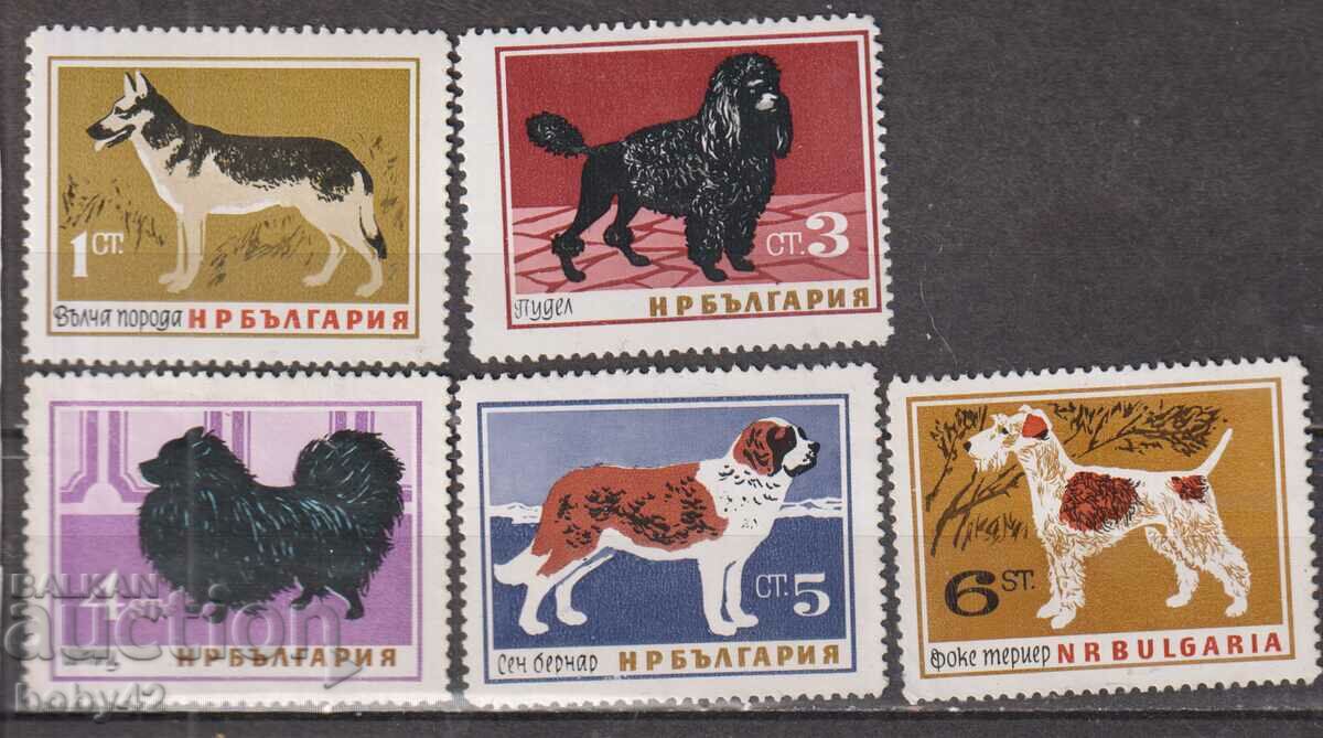 BK 1520-1524 Câini (incomplet, note înapoi 0,38