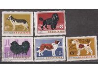 BK 1520-1524 Dogs (ημιτελή, σημειώσεις πίσω 0,38