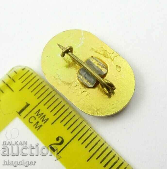 BCHK-Public Sanitary Inspector-Social-Communism with price 3.99 BGN | € 2.04