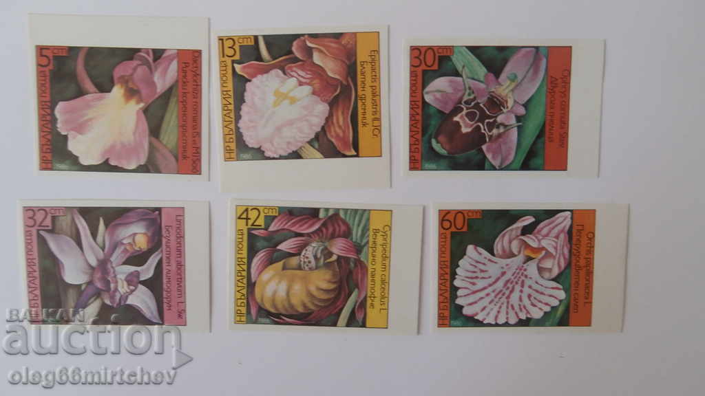 Bulgaria 1986 ORCHIDS BK№3482/7 - Not toothed