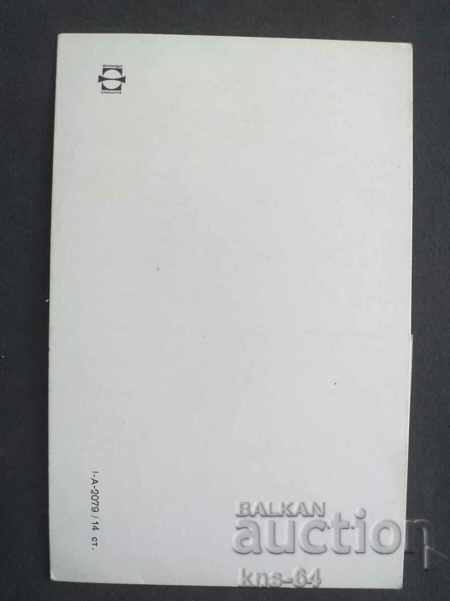 Аукцион ЧНГ Поздравителна Аукцион ЧНГ Поздравителна