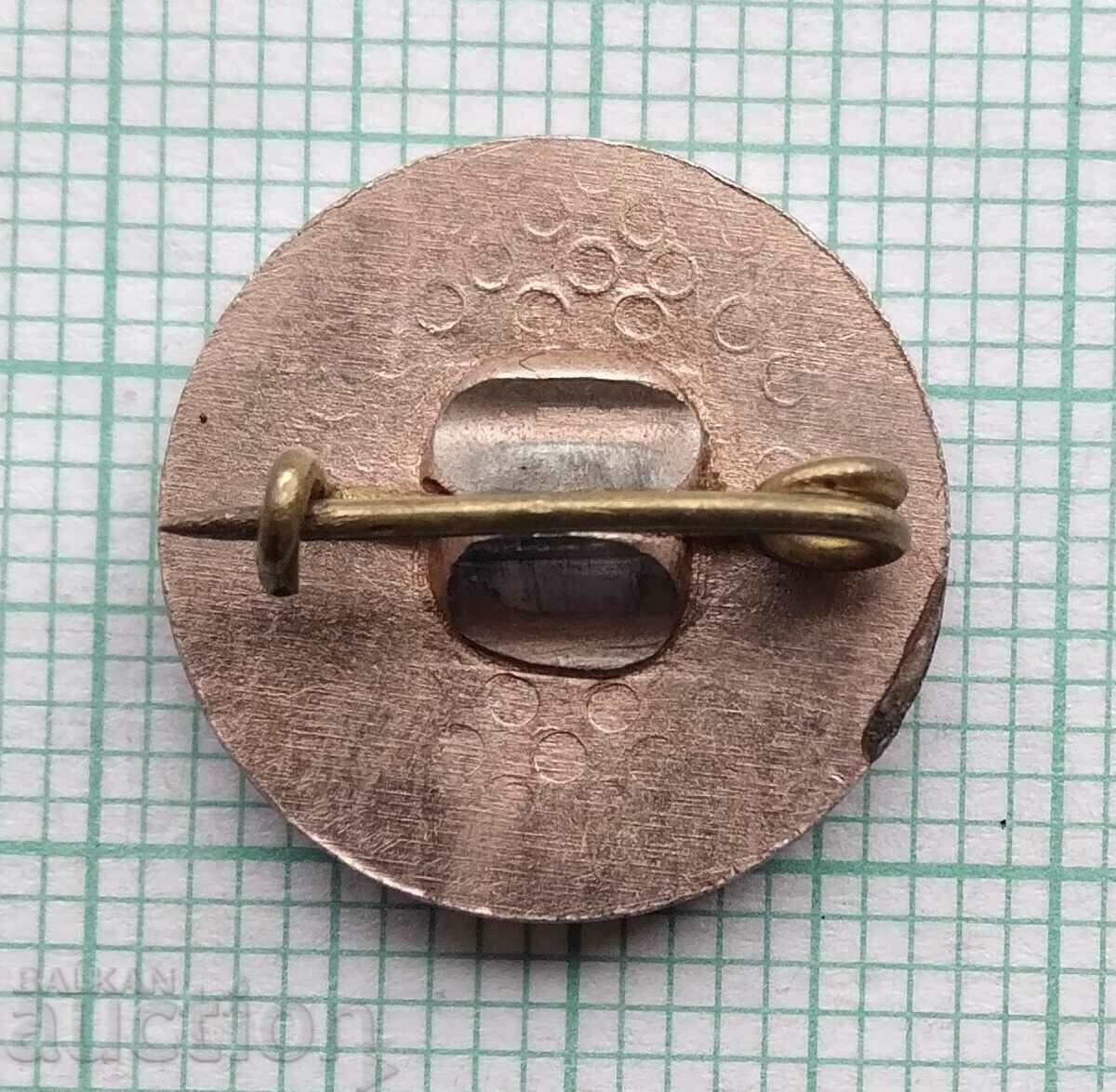 14753 Badge - Dobri Chintulov - 5 14753 Badge - Dobri Chintulov - 5